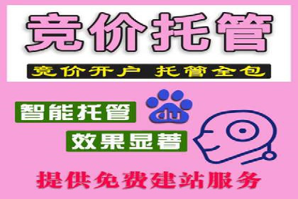 SEM代运营推广公司成功案例，助力企业转型升级