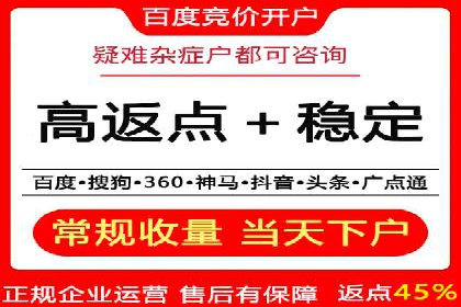 百度竞价排名服务：成功案例解析